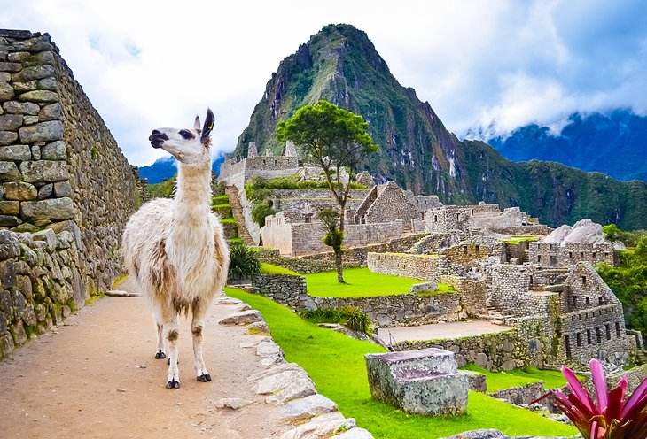 The Peru Collection - From The Andes