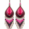 Fuchsia Nights